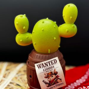 Le cactus Choco Baril