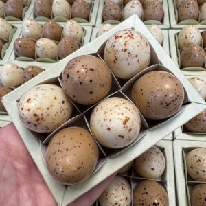 La Boîte de 6 oeufs fourrés